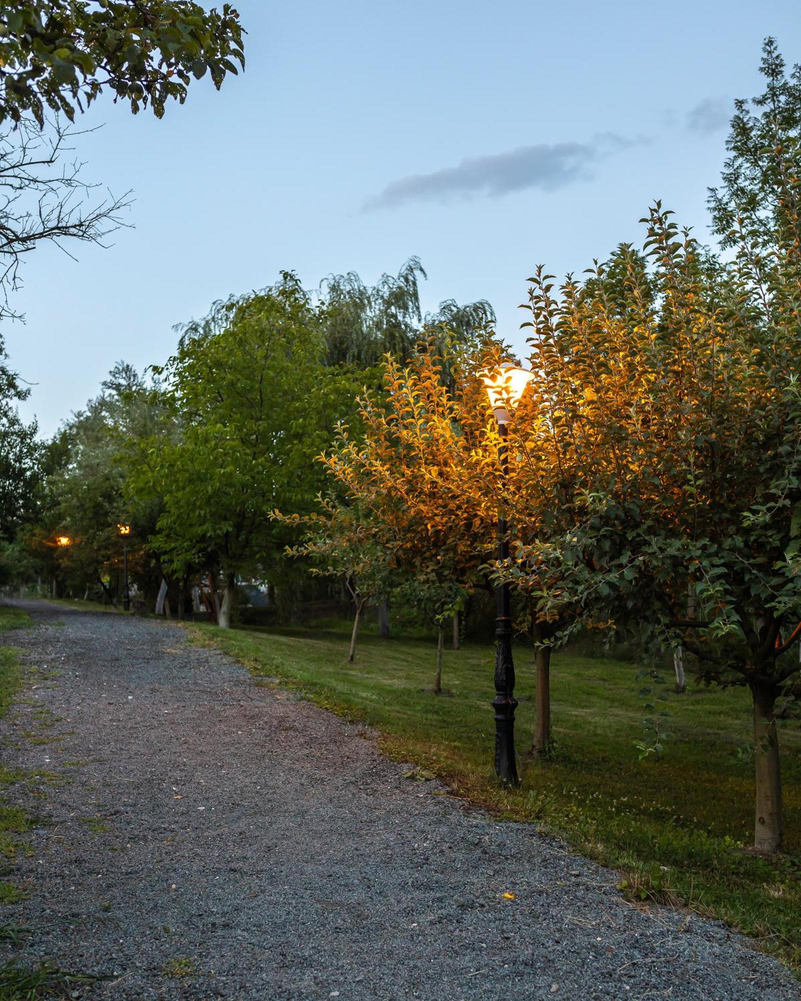 Agropensiunea Colev Stremt Exterior foto